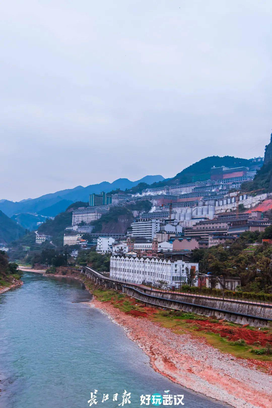江林镇人口_江林医药