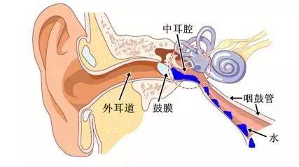 不会躺着喂奶怎么办