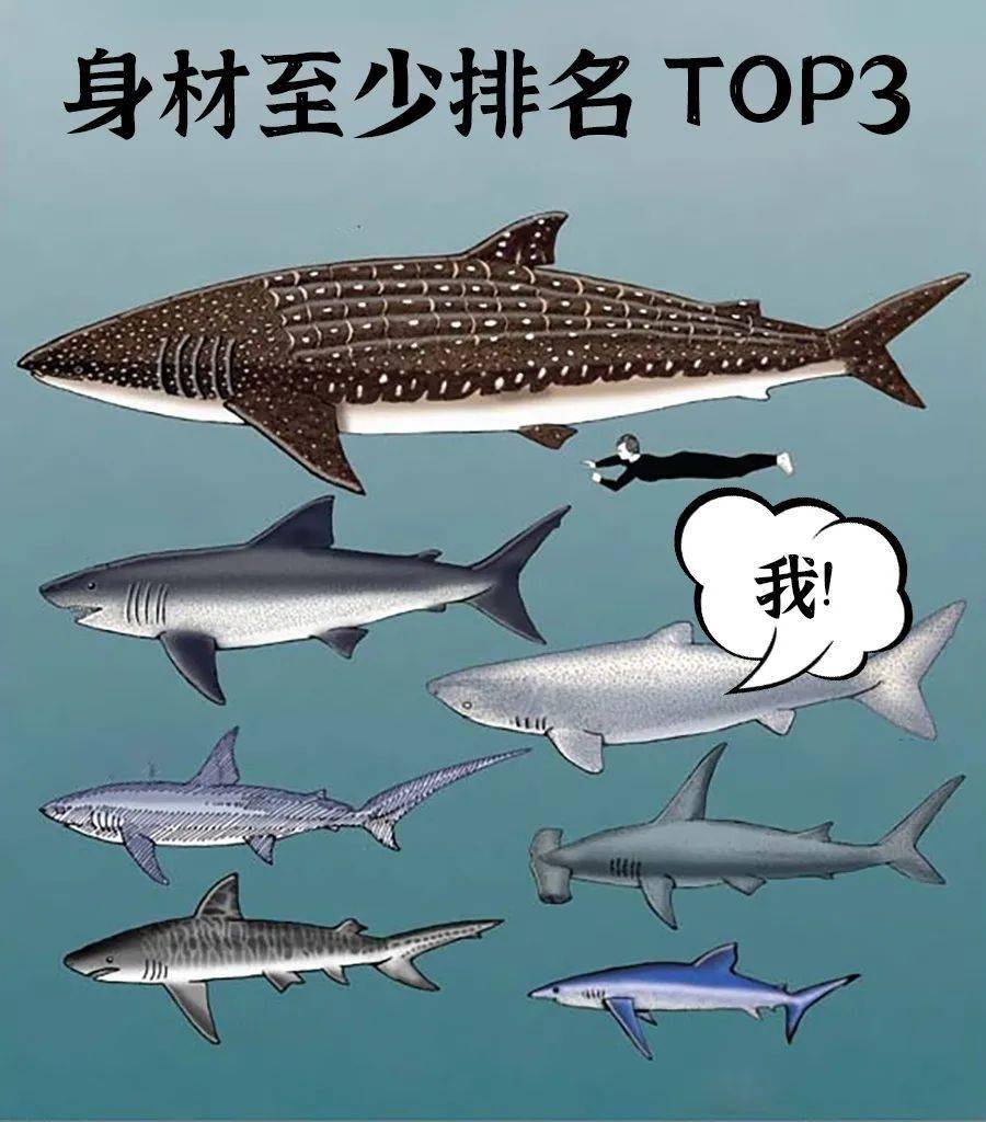 5ef24b6c638c4d80a5da725dd9c5892e.jpeg