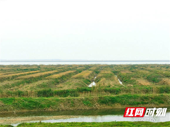 “益山益水、益美益阳”：蹚出一条绿色高质量