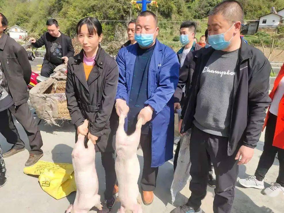 平利县大贵镇小康路上人心聚产业兴