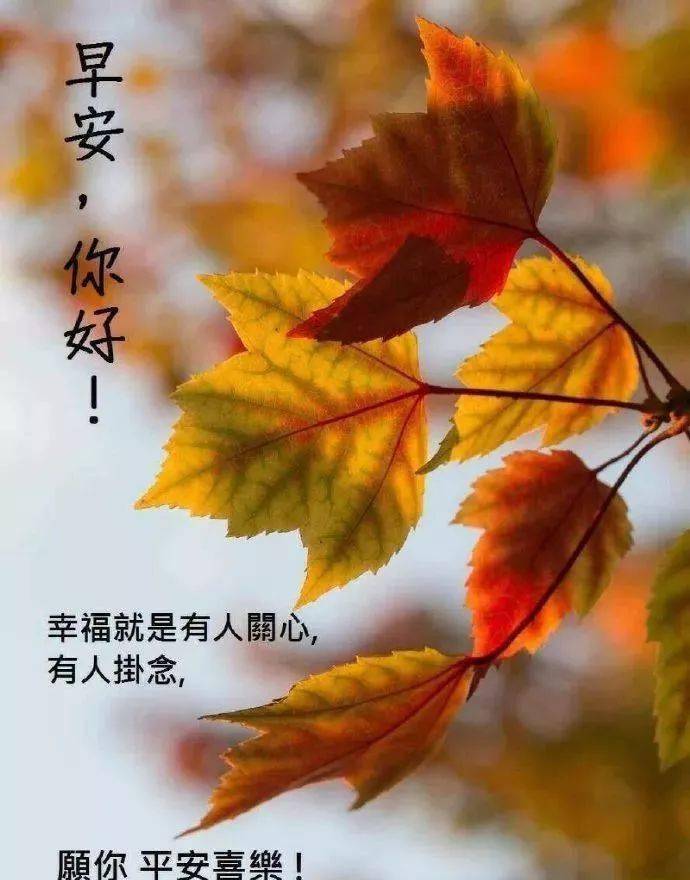 12月24日,最漂亮早上好动态表情图片大全,早晨好美图大全