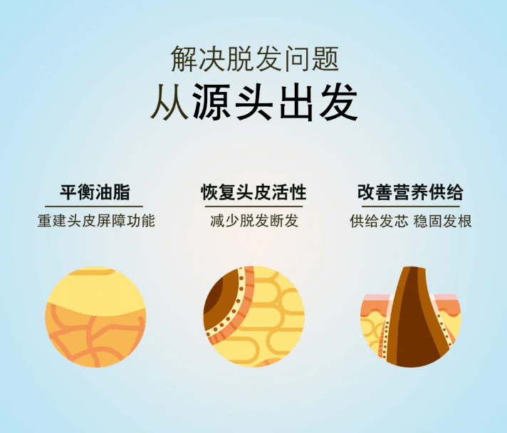 干枯油腻毛糙易断分叉脱落都因头皮衰老太快看看你的毛囊都经历了什么