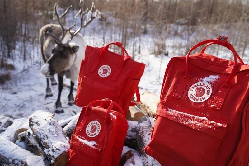 【fjallraven瑞典北极狐】kanken2021新年限量版系列来了