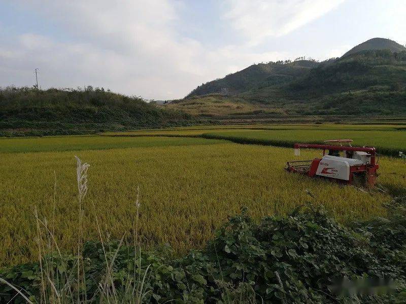 新田县有多少人口_新田县中医院(2)