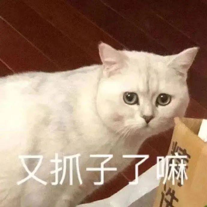 奇什么例成语_成语故事图片(2)