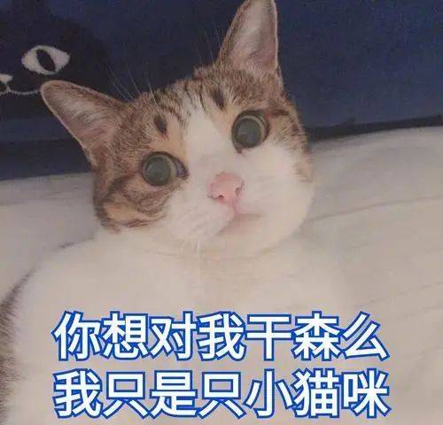 b5799a4b63b84059a1315b5b60f77d13.jpeg