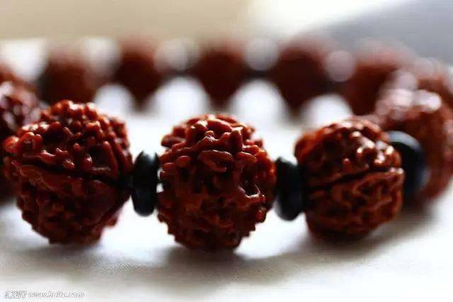 金刚盘完 08ae9ab7d4214d6e95105268cdb6fc31.jpeg