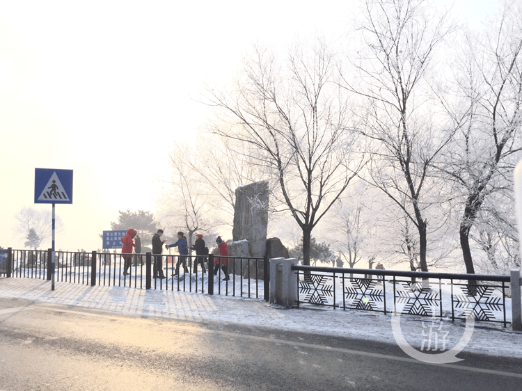 “元旦”去哪儿？滑雪or晒太阳 调查中4成重庆人选了这一个