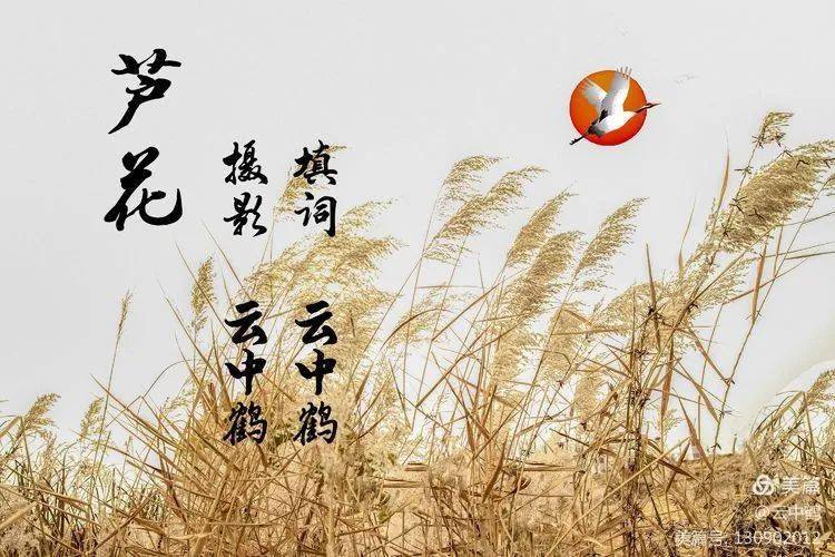 凤凰台上忆吹箫简谱_凤凰台上忆吹箫(3)