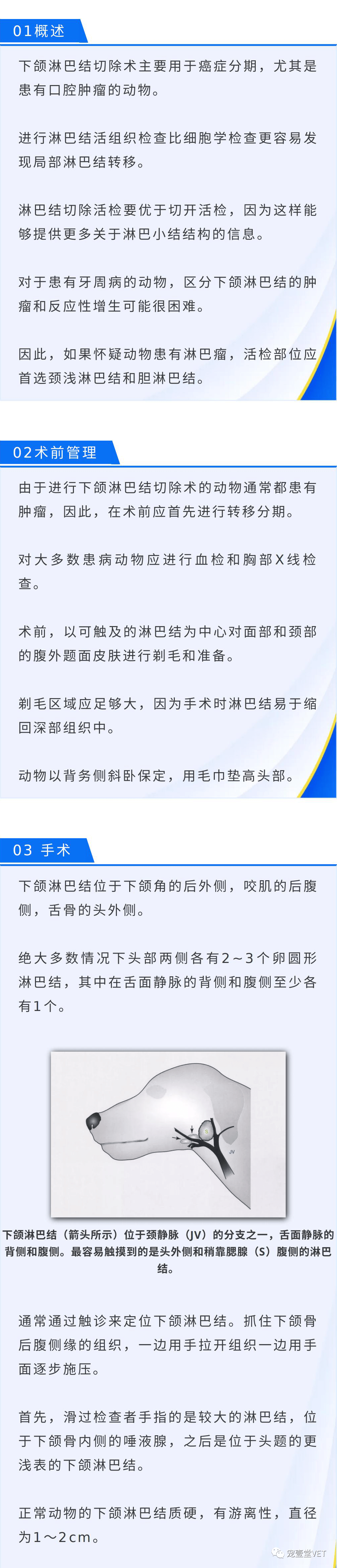 图解下颌淋巴结切除术