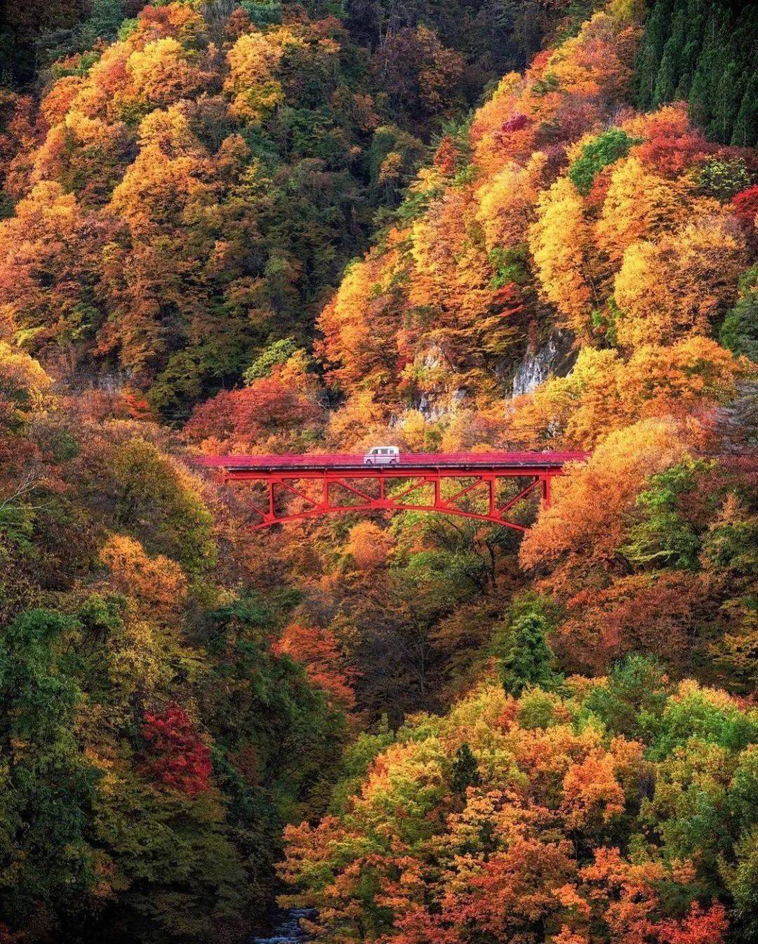 摄影师拍下日本各地红叶绝景!有生之年一定要在日本看一次红叶