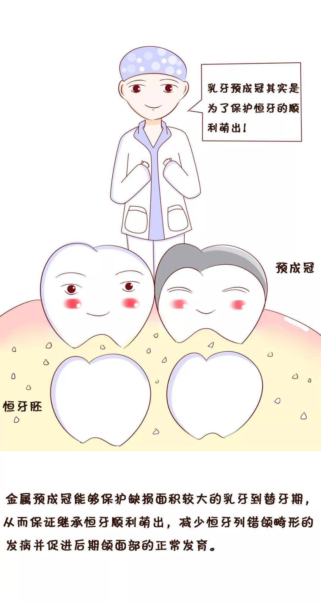 漫画丨教你看懂儿童乳牙预成冠