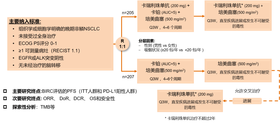 2020卡瑞利珠单抗总结报告