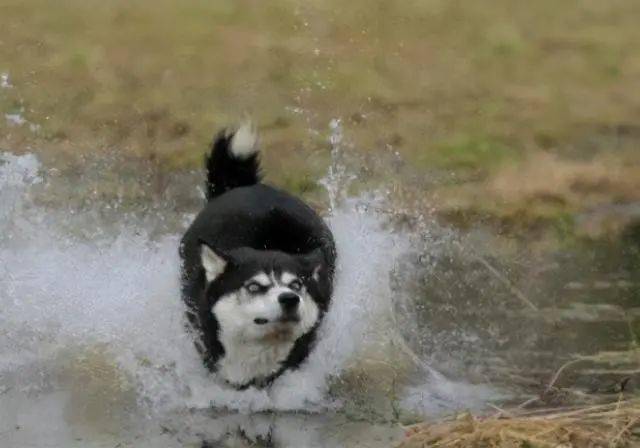 4fc0bf60076d45d9bf17f0f710038b02.jpeg