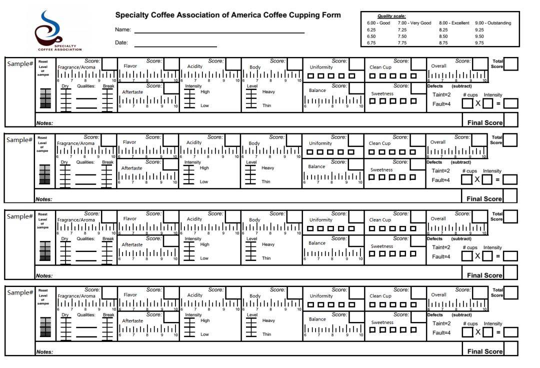 scaa咖啡杯测表