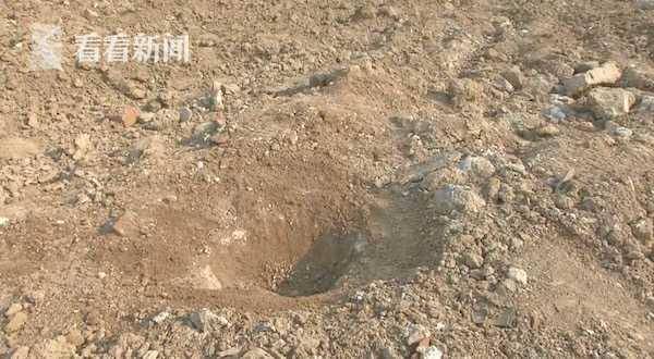 金属探测器排行榜_女子用金属探测仪找出价值10万英镑的黄金圣经