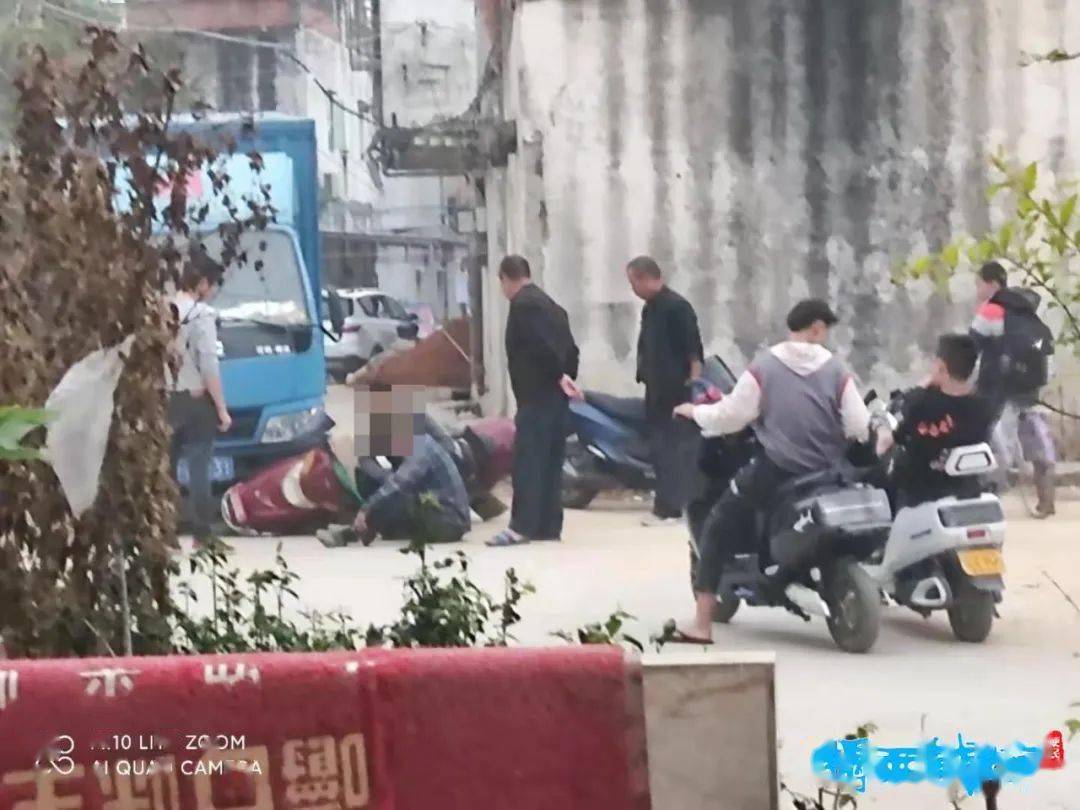 揭西县有多少人口_揭西县地图(3)
