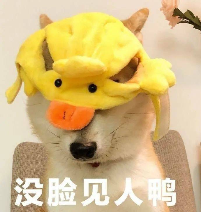 突然清醒