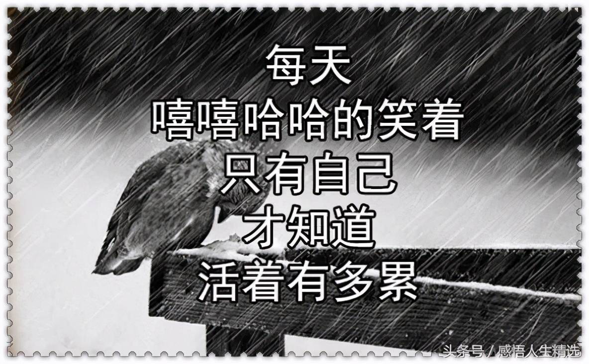 请善待珍惜自己的身体  感悟人生精选2020-12-29 15:48:45