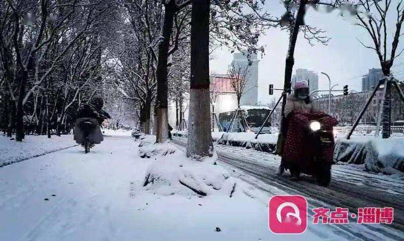 淄博的大雪 73b7d1621ea04f7ca19426b258341d98.jpeg