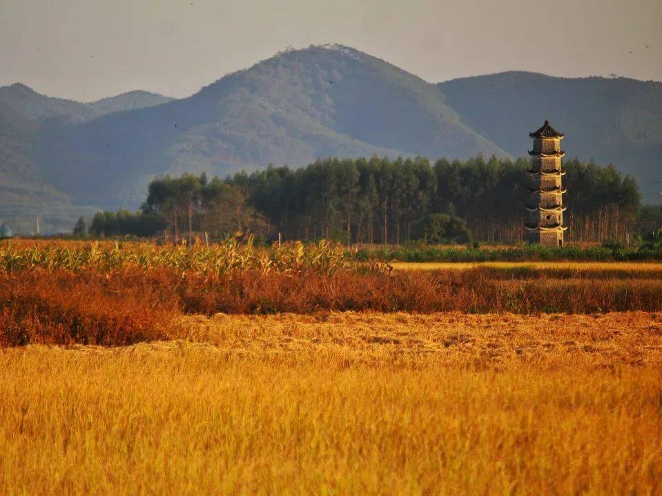 南宁市隆安县各个乡镇经济总量_经济图片