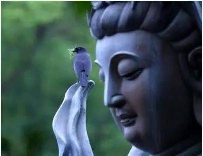 命运背后有因果,抱怨背后是苦难!