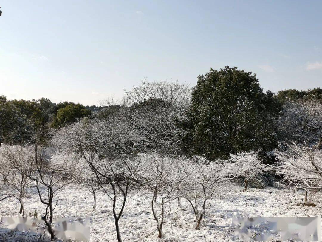 敬亭山上!最美雪景年终巨献!