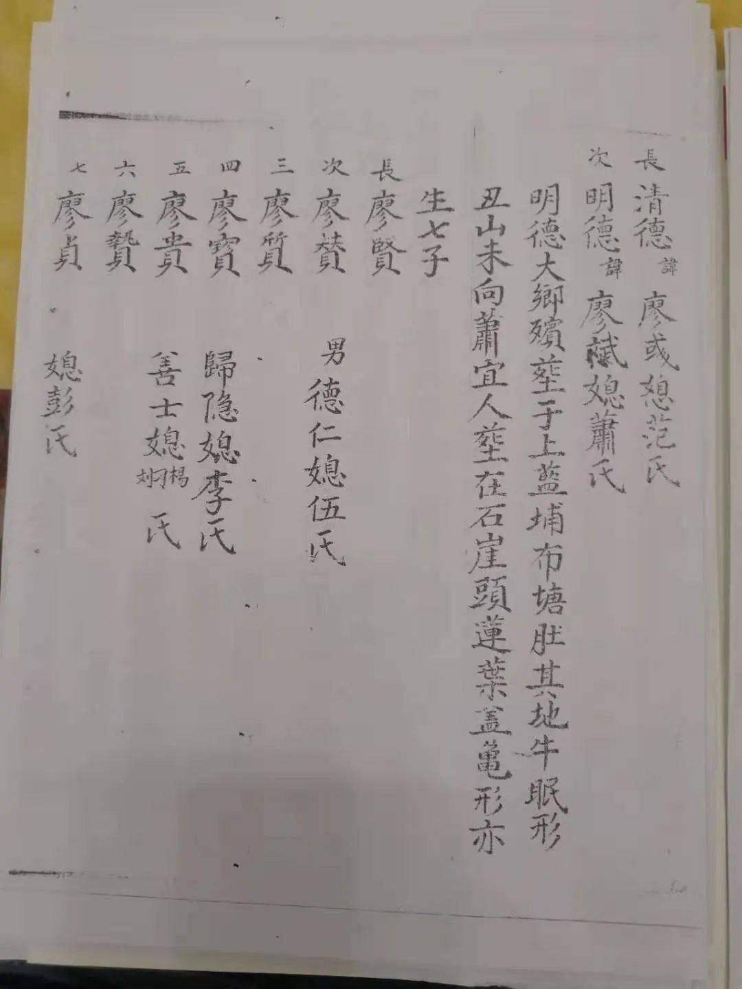 并开展了七届的联谊会,参加了梅州光景公祠重光庆典,与巴蜀廖氏宜宾