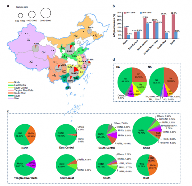 养殖‖中国科学院最新研究进展 | H7N9的