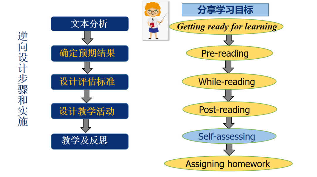 杨晓钰回到教育起点逆向教学设计这样硬核落地