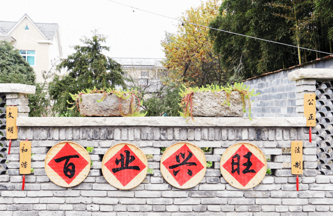 美丽庭院 | 太湖源镇杨桥村:赏美丽庭院,游竹乡市集