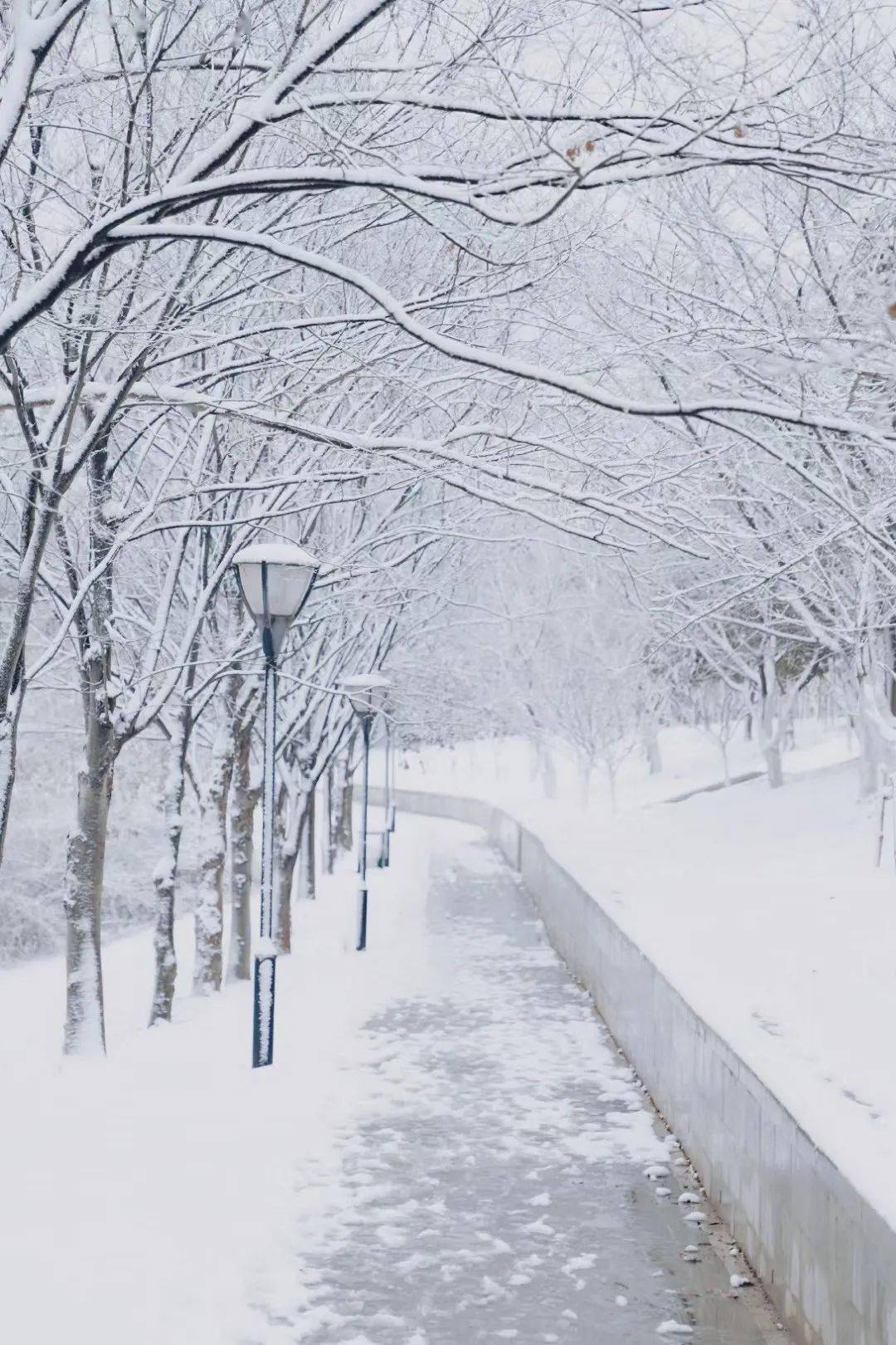 海量雪景大图来啦!_初雪