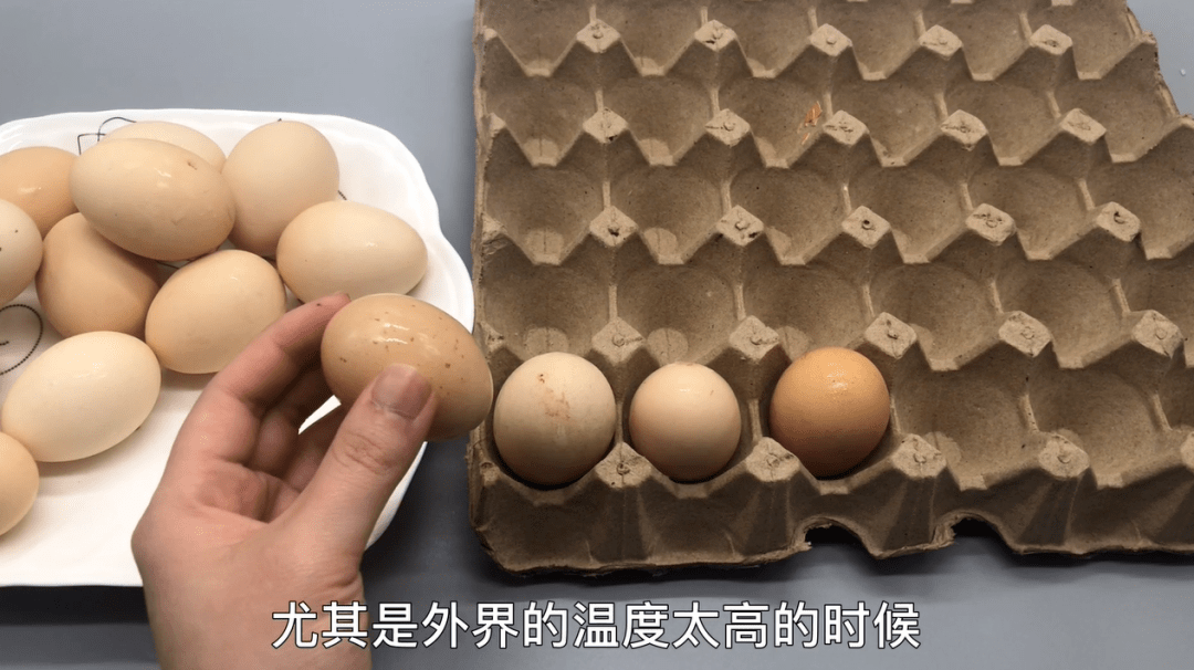 新鲜鸡蛋保存方法 防变质技巧 6f59534f8e08467ea3e3dcb834d9ab91.png
