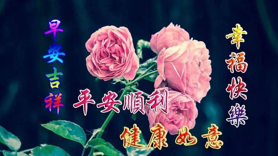 12月31日冬季早安问候祝福语短信漂亮的美女早上好问候图片表情精选