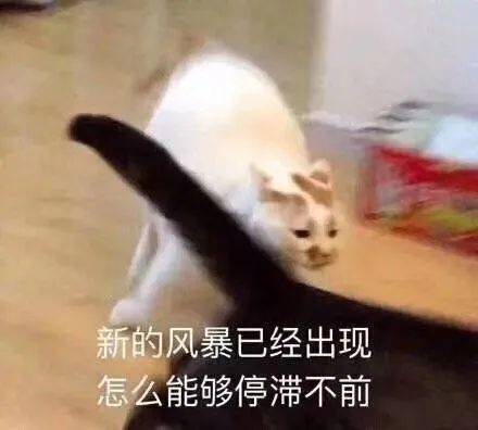819e94abac554b158f0c7d87346e0aeb.jpeg