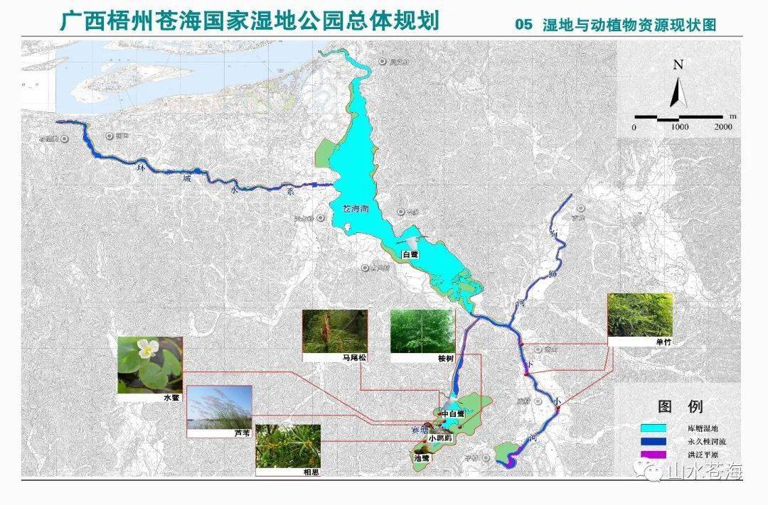 梧州2021Gdp_2021梧州龙母庙照片