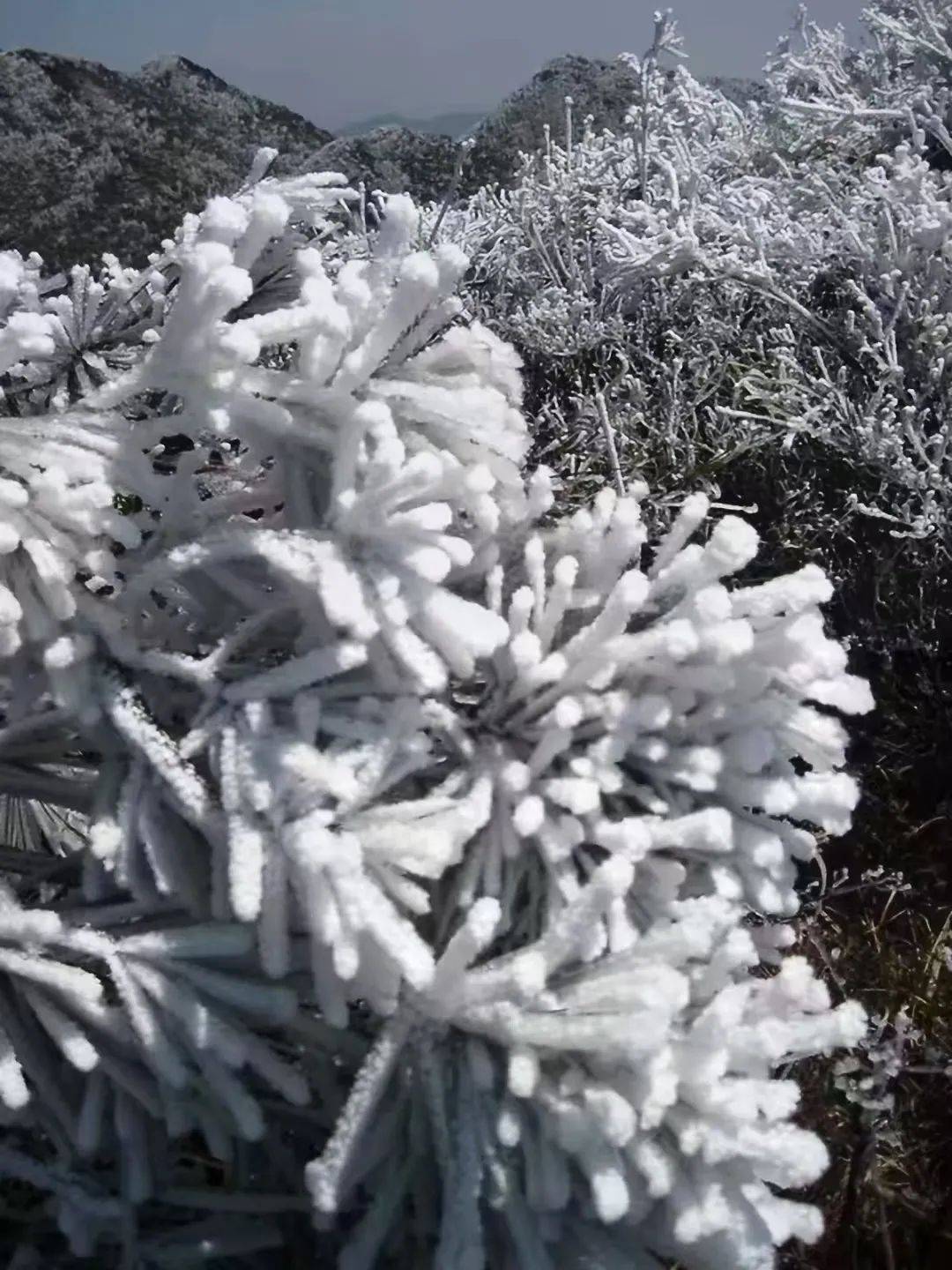 天台山上雪照云光