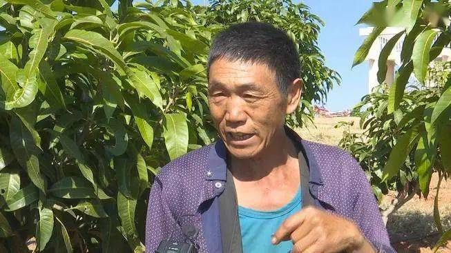 永仁县有多少人口(2)