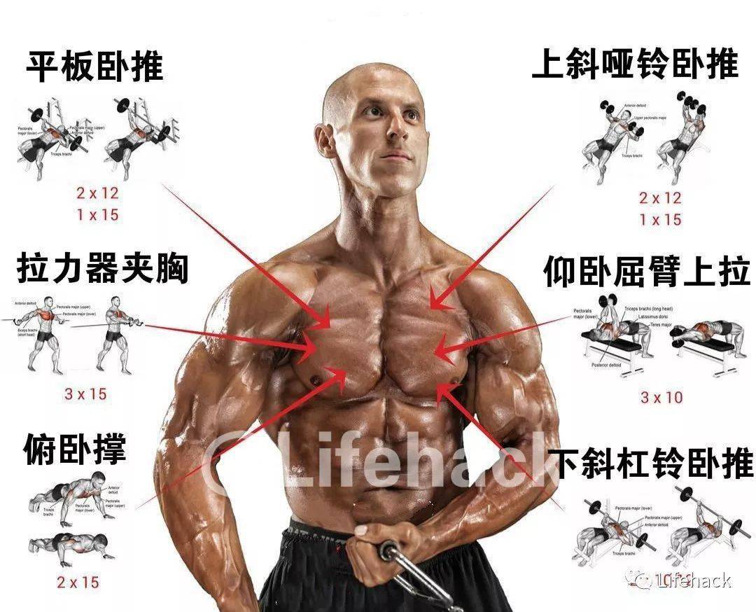 如何练胸部肌肉最快 e8ee93bbaba94be6b96fb5ae12b90cac.jpeg