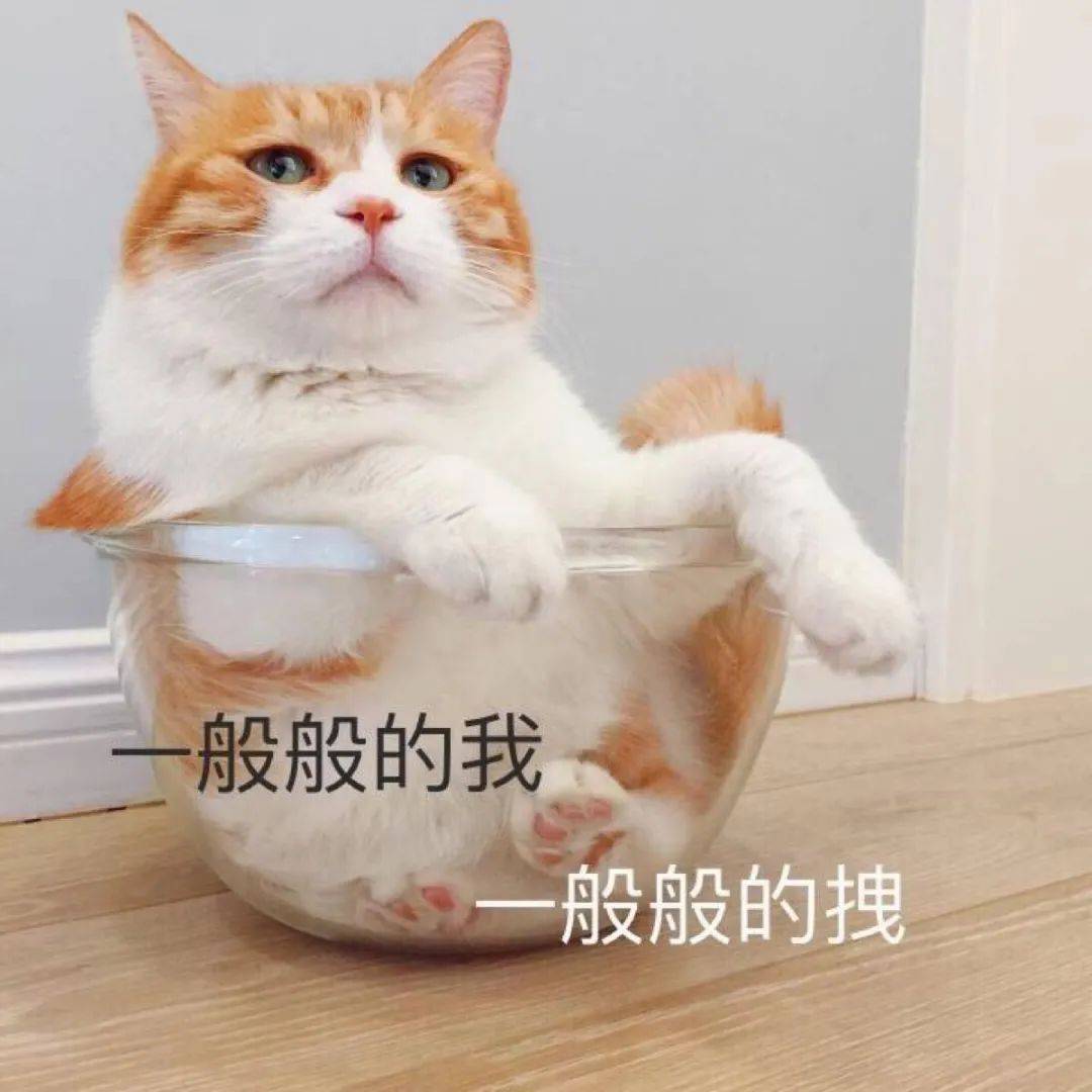 77798dda68324f07887751c29d46f25e.jpeg
