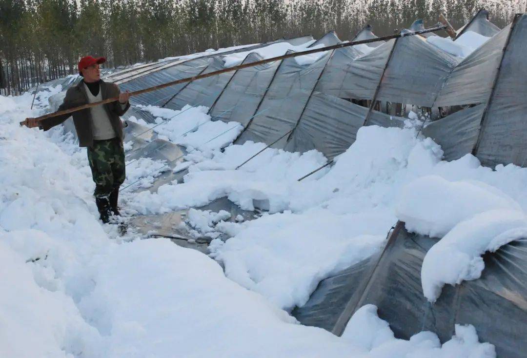 高手在民间这几款大棚除雪神器刷爆了朋友圈