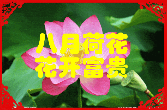 元旦到了,送你12个月的祝福!赶紧收好送家人!