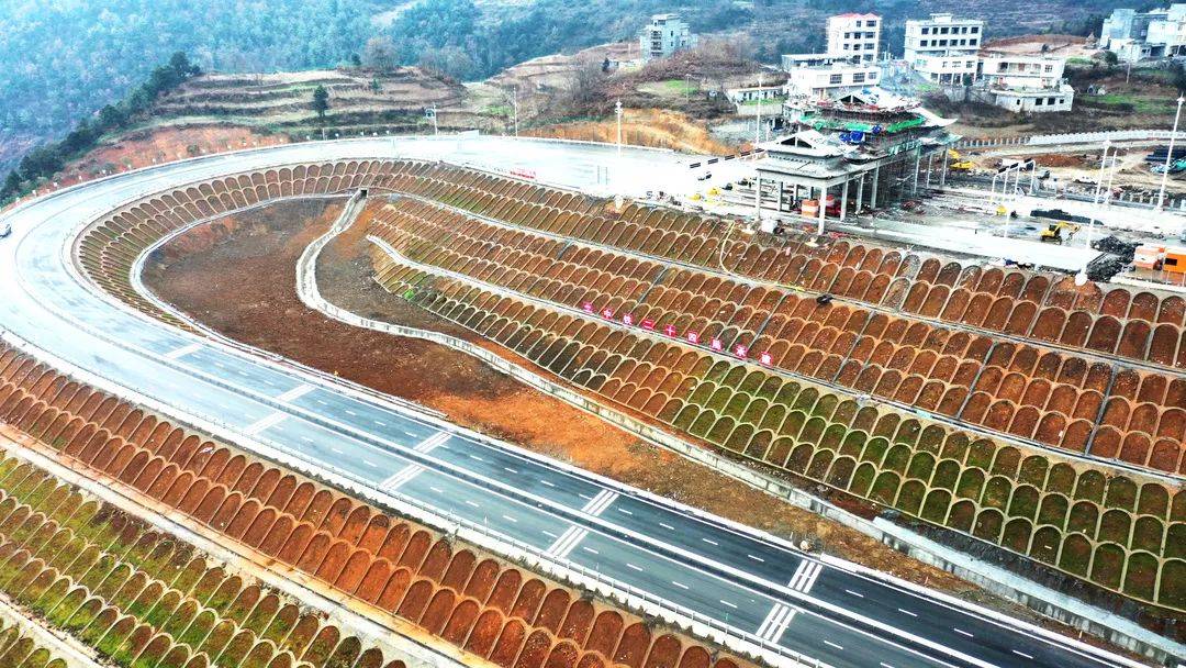 东盟人口有多少2021_姓云全国人口有多少(3)