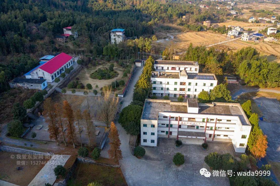 东安县有多少人口