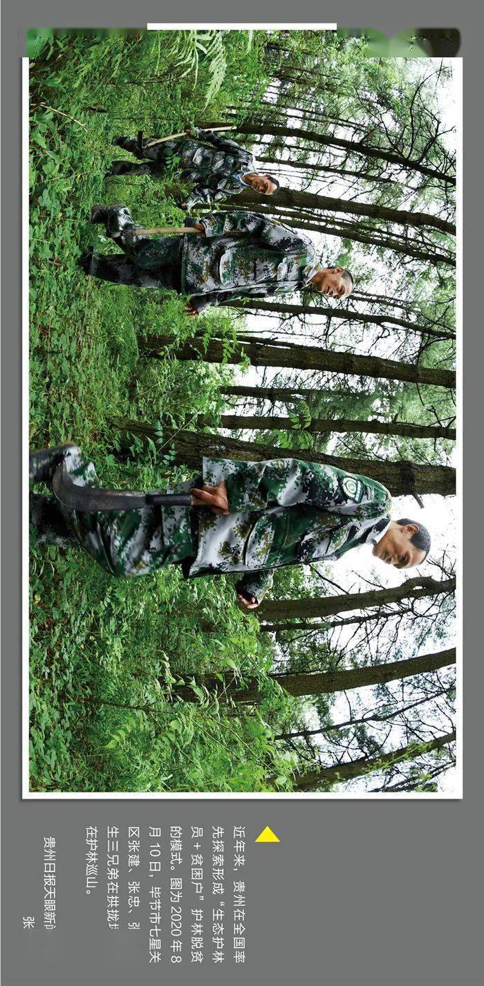 贵州省2020年经济总量_贵州省2020年各科均分(3)
