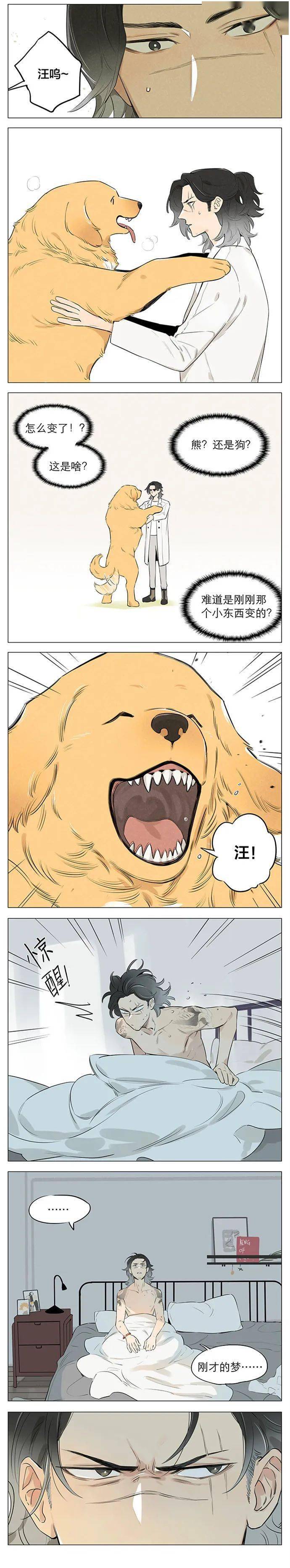 【狼王和小奶狗】10年后的小土豆,感觉可以反攻!