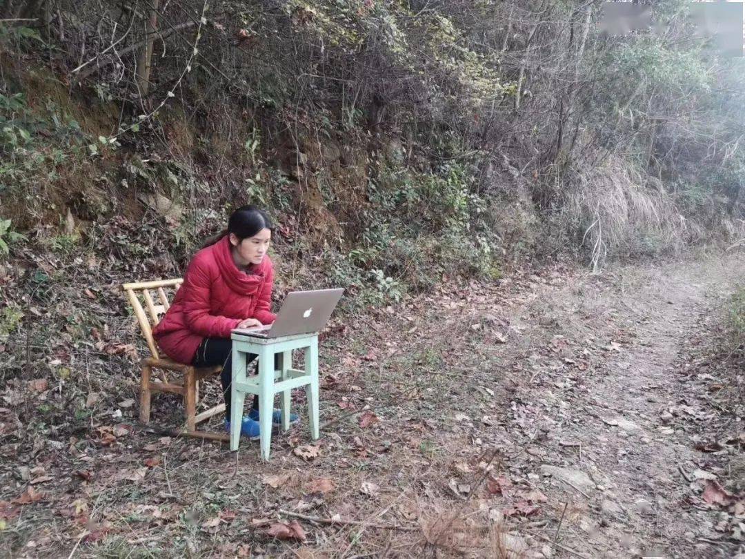 2020年模块七综合分_2020艺术类模块七630分未被录取