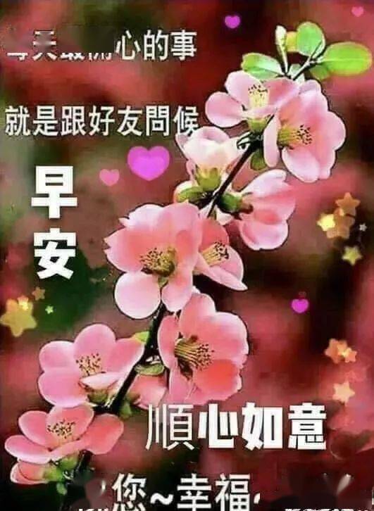 清晨温馨早上好问候语美图带字清晨早安祝福语图片带字