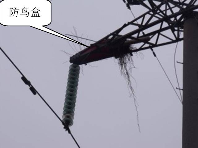 鸟害威胁电网安全,感应电压方法可有效驱鸟